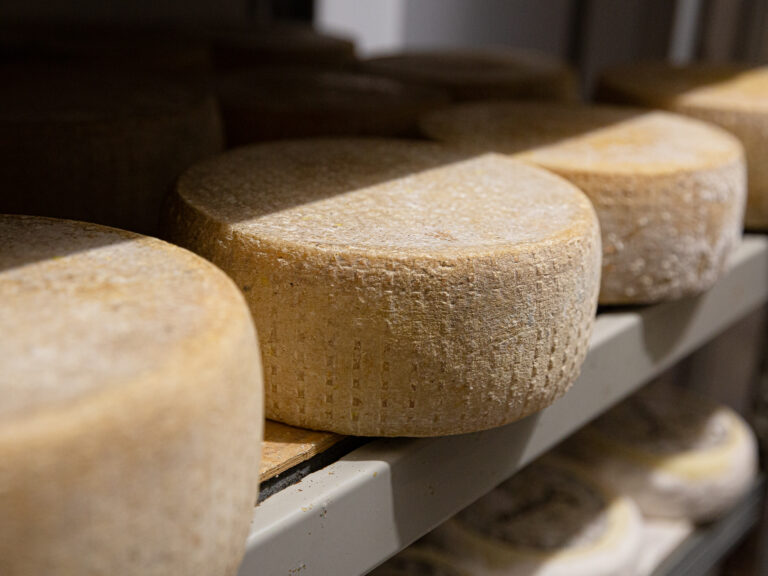 Ingrosso e Distribuzione Formaggi Firenze, Pisa, Siena - Manetti