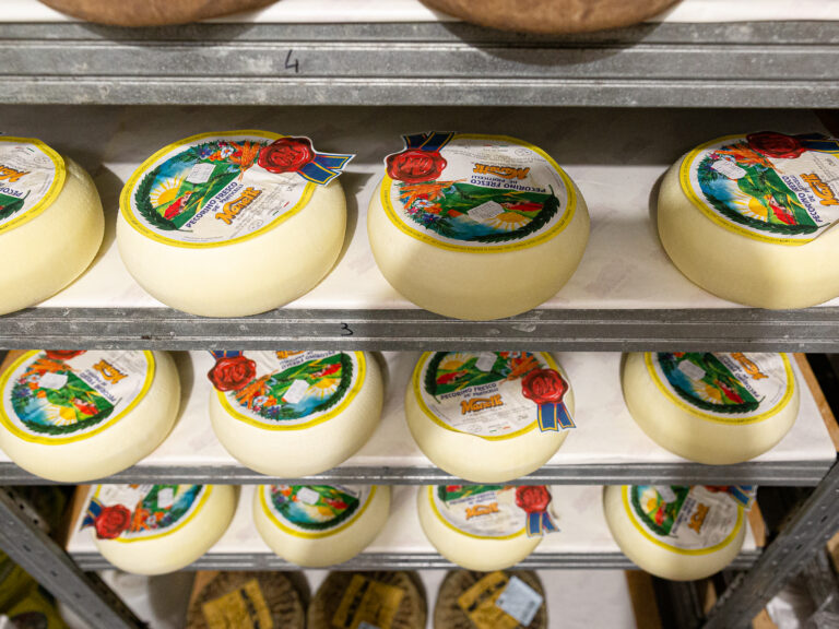 Ingrosso e Distribuzione Formaggi Firenze, Pisa, Siena - Manetti