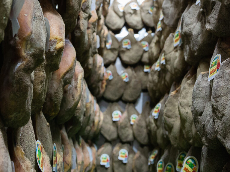 Ingrosso e Distribuzione Salumi Firenze, Pisa, Siena - Manetti