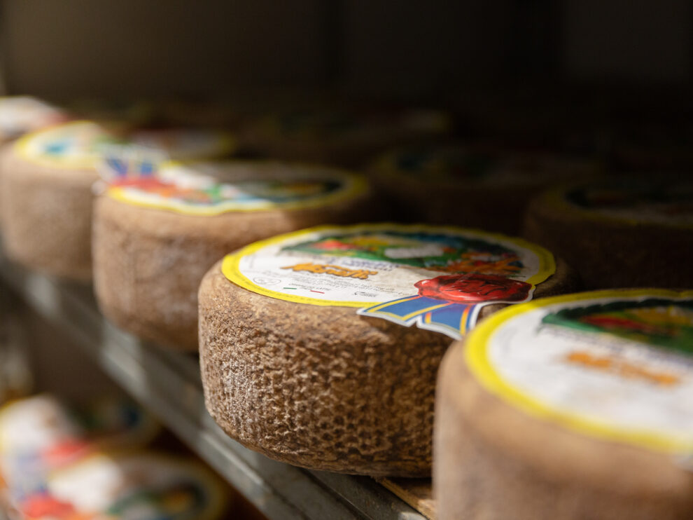Ingrosso Latticini Firenze, Siena, Pisa - Manetti Alimentari