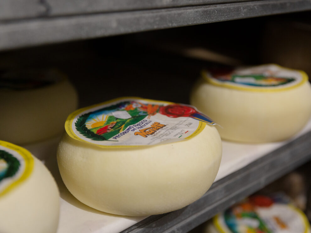 Trasporto Alimentari Freschi e Surgelati Firenze - Manetti Alimentari